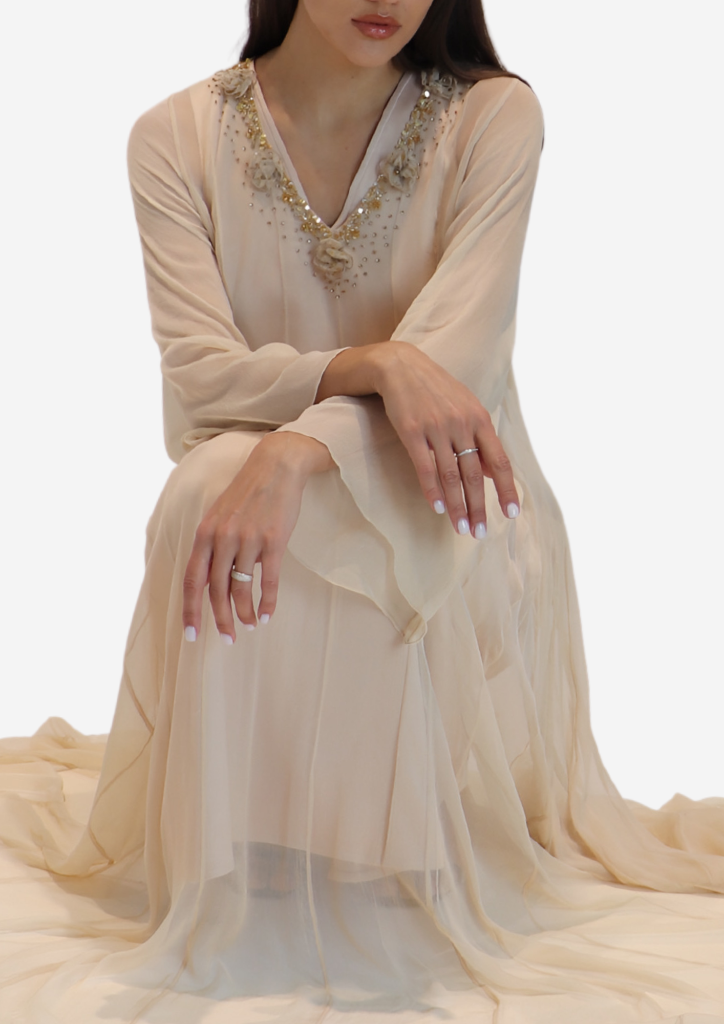 Roses Chiffon Dress