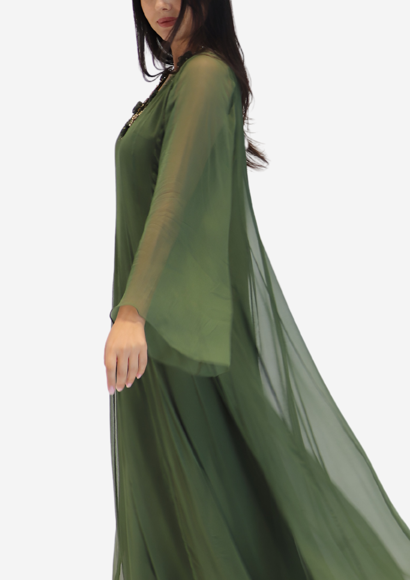 Roses Chiffon Dress