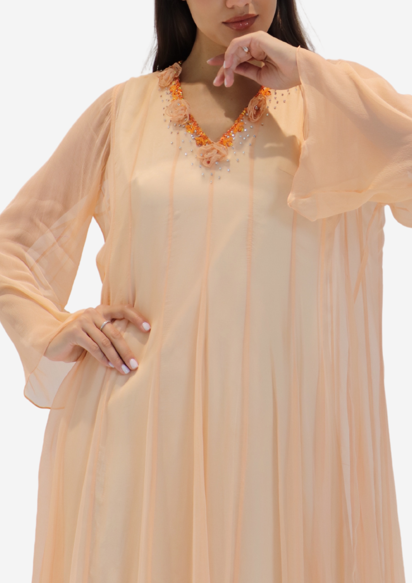 Roses Chiffon Dress
